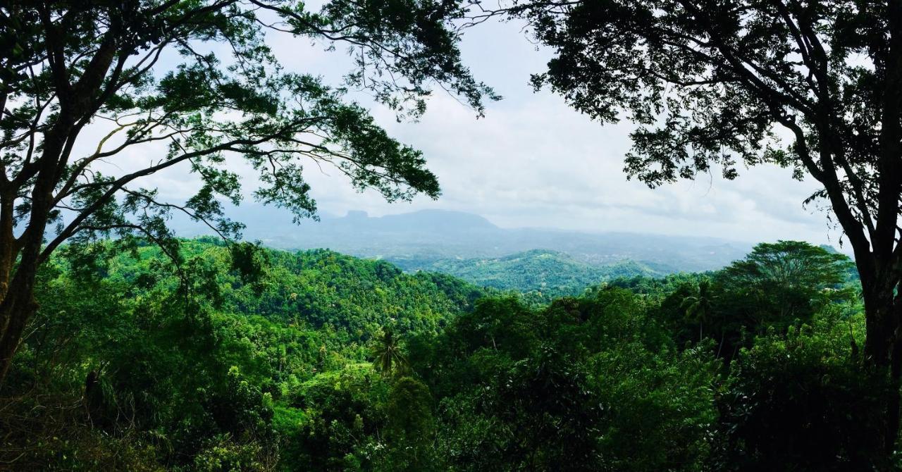 Ceylon Saradiel Home Stay Mawanella Экстерьер фото